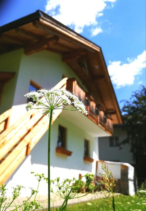 Ferienwohnung Auenheim انرفلغراتن المظهر الخارجي الصورة